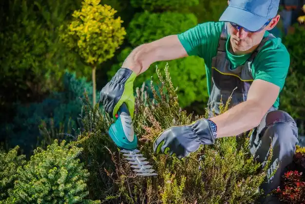 landscaping services Reeds Spring